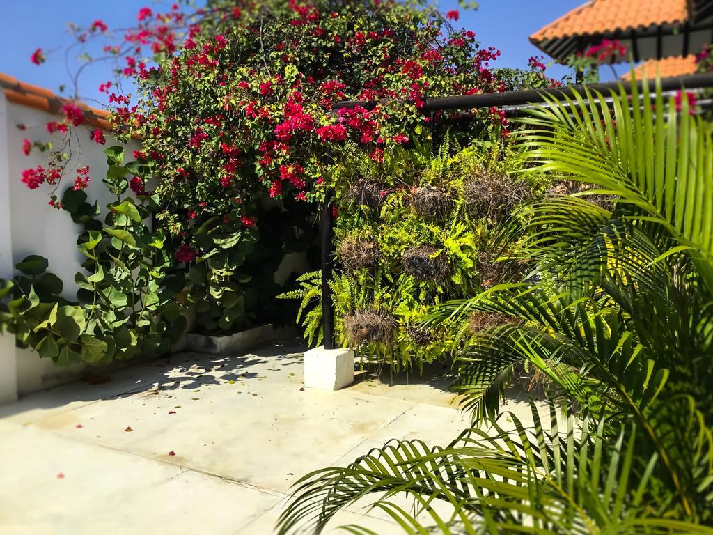 Casa Ines Bed & Breakfast ซันตามาร์ตา ภายนอก รูปภาพ